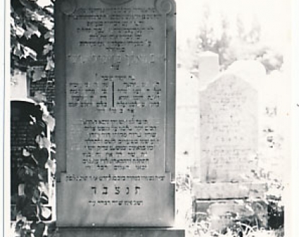 Zamość Cmentarz żydowski macewy 1963r