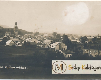 Żywiec Widok ogólny