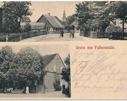 Tanowo koło Polic Gruss aus Falkenwalde