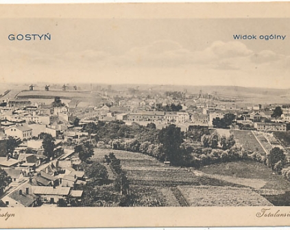 Gostyń Widok ogólny