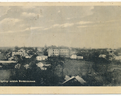 Borszczów Widok ogólny