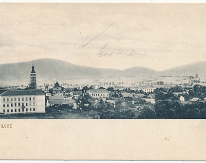 Żywiec Widok ogólny około 1908r