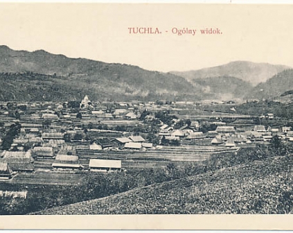 Tuchla Widok ogólny
