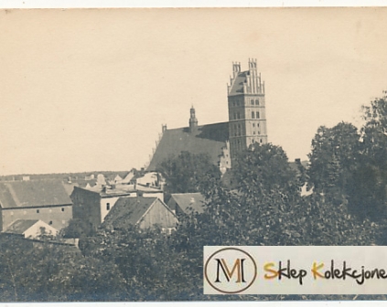 Dobre Miasto Kolegiata foto J.Zakrzewski