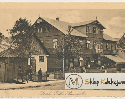 Busko Willa Brzozówka nakł. St. Sanecki