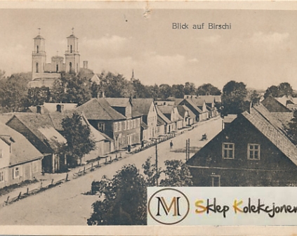 Birże widok ogólny
