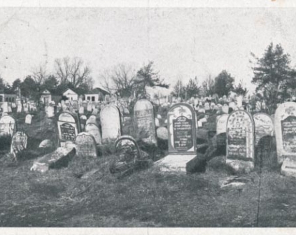 Brześć Litewski Brest- Litowsk Jewish cemetery 