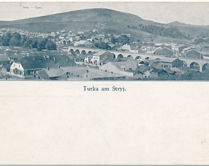 Turka am Stryj Widok ogólny 1917r