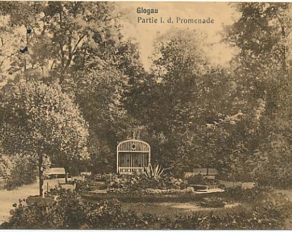 Głogów Park Promenade 1917r