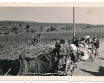 Sewerynów k.Łodzi 8.9.1939r